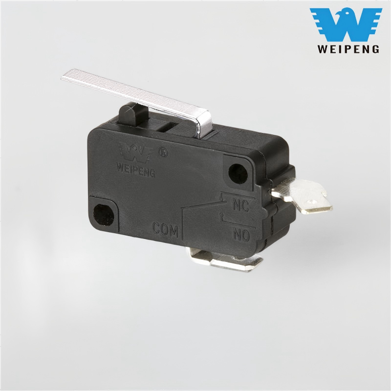 Microinterruptor de máquina de lavado de autos 10A 250V