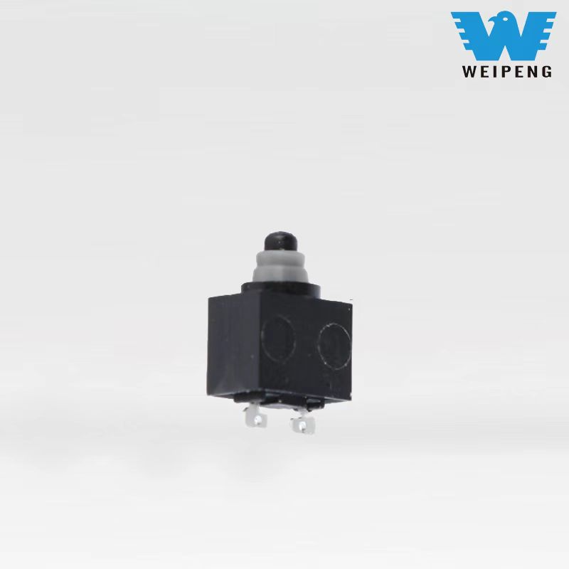Micro interruptor impermeable de dos patas
