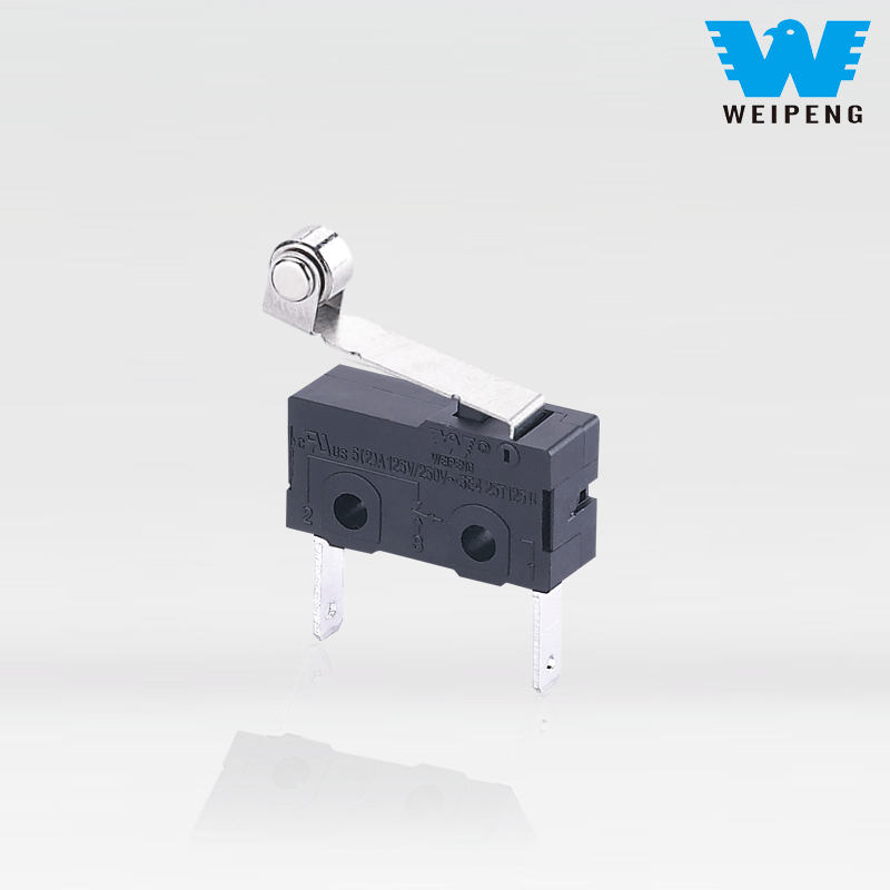 Weipeng Microinterruptor de pila de carga de coche de 2 pines 5A a prueba de polvo